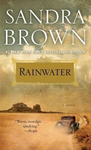 Rainwater by Brown, Sandra / Paperback Book Pre-Owned English