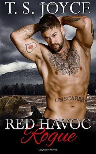 Red Havoc Rogue: Volume 1 (Red Havoc P, Joyce, T. S. Paperback Book Pre-Owned English