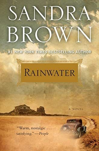 Rainwater by Brown, Sandra Paperback Book Pre-Owned English