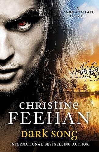Dark Song (Dark Carpathian), Feehan, Christine Paperback Book Pre-Owned English