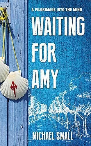WAITING FOR AMY: A Pilgrimage Into The Mind by Small, Michael Paperback Book Pre-Owned English