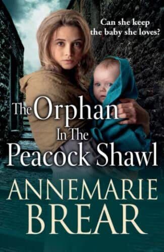 The Orphan in the Peacock Shawl: A BRAND NEW gripping his by Brear, AnneMarie Paperback Book Pre-Owned English