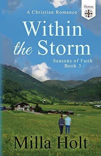 Within the Storm: A Christian Roman, Collection, The Paperback Book Pre-Owned English