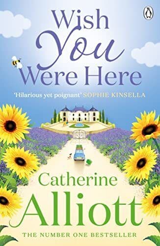 Wish You Were Here by Alliott, Catherine Paperback Book Pre-Owned English