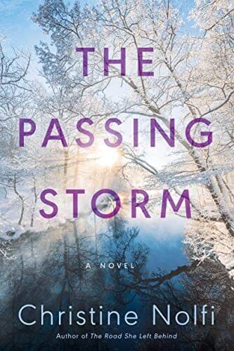 The Passing Storm: A Novel, Nolfi, Christine Paperback Book Pre-Owned English