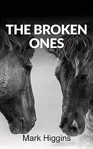 THE BROKEN ONES, Higgins, Mark Paperback Book Pre-Owned English