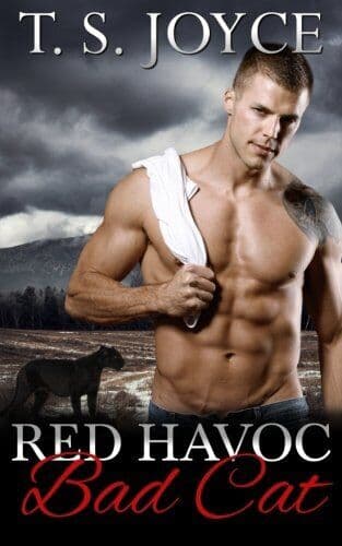 Red Havoc Bad Cat: Volume 3 (Red Havoc, Joyce, T. S. Paperback Book Pre-Owned English