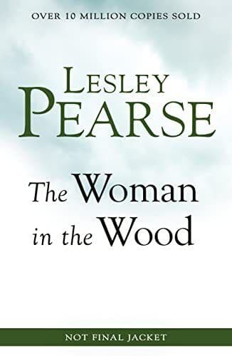The Woman in the Wood: A missing teenager. An outcast woman by Pearse, Lesley Paperback Book Pre-Owned English