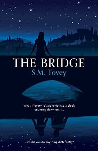 The Bridge by SM Tovey Paperback Book Pre-Owned English
