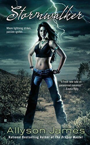 Stormwalker (Berkley Sensation) by Allyson James  Paperback Book Pre-Owned English