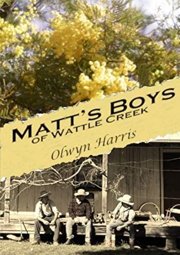 Matt&#8217;s Boys of Wattle Creek, Harris, Olwyn Paperback Book Pre-Owned English