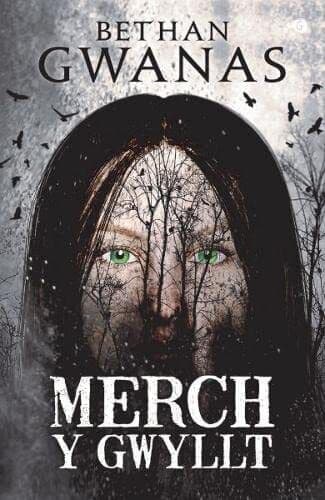 Merch y Gwyllt by Bethan Gwanas Paperback Book Pre-Owned English