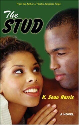 STUD, THE: A Novel, K. Sean Paperback Book Pre-Owned English