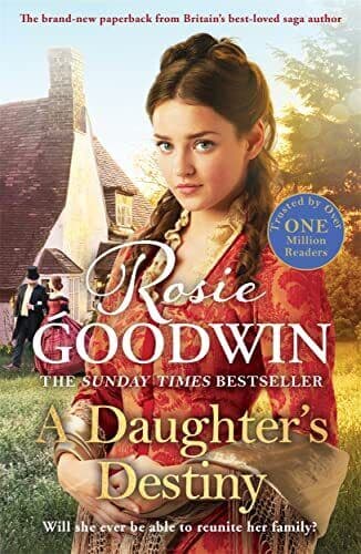 A Daughter’s Destiny: The heartwarmi, Goodwin, Rosie Paperback Book Pre-Owned English