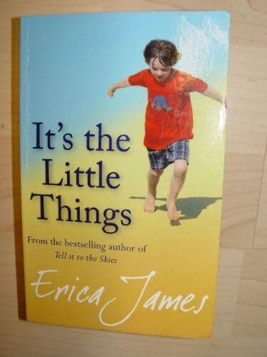 It&#8217;s the Little Things Paperback Book Pre-Owned English