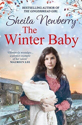 The Winter Baby: Can she find a home for Christmas? The m by Newberry, Sheila Paperback Book Pre-Owned English