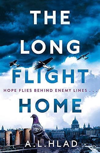The Long Flight Home: a heart-breaking a, Hlad, A.L. Paperback Book Pre-Owned English