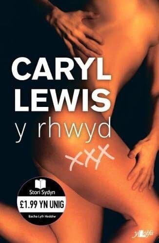 Cyfres Stori Sydyn: Y Rhwyd by Caryl Lewis  Paperback Book Pre-Owned English