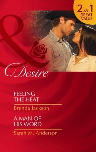 Feeling The Heat: Feeling the Heat / Feeling the Heat / by Anderson, Sarah M. Paperback Book Pre-Owned English