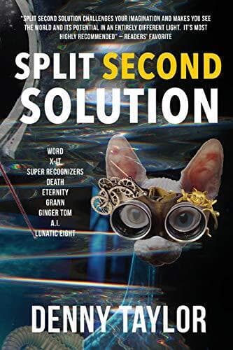 Split Second Solution by Taylor, Denny Paperback Book Pre-Owned English