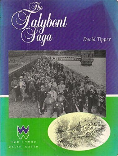 The Talybont saga, TIPPER DAVID Paperback Book Pre-Owned English
