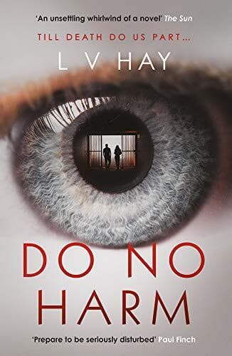 Do No Harm by Hay, L V Paperback Book Pre-Owned English