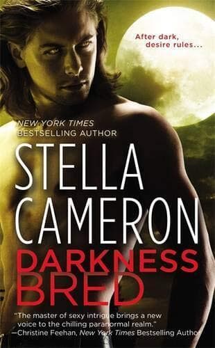 Darkness Bred: Number 2 in series (Chimney Rock) by Cameron, Stella Paperback Book Pre-Owned English