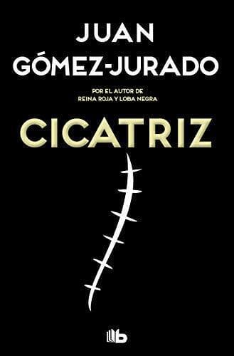 Cicatriz Paperback Book Pre-Owned English