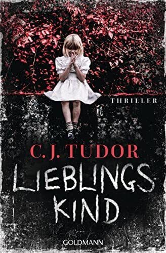 Lieblingskind: Thriller, Tudor, C.J. Paperback Book Pre-Owned English