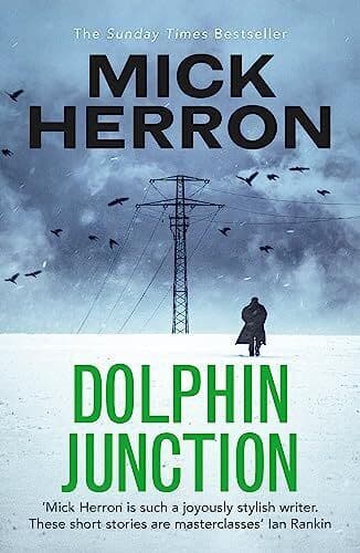 Dolphin Junction, Herron, Mick Paperback Book Pre-Owned English