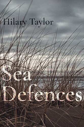 Sea Defences, Taylor, Hilary Paperback Book Pre-Owned English