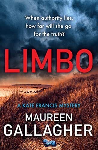 Limbo, Maureen Gallagher Paperback Book Pre-Owned English