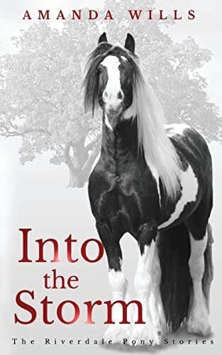 Into the Storm (The Riverdale Pony Stories) by Wills, Amanda Fast Paperback Book Pre-Owned English