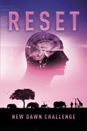 New Dawn: Reset, Warren, Jay Paperback Book Pre-Owned English
