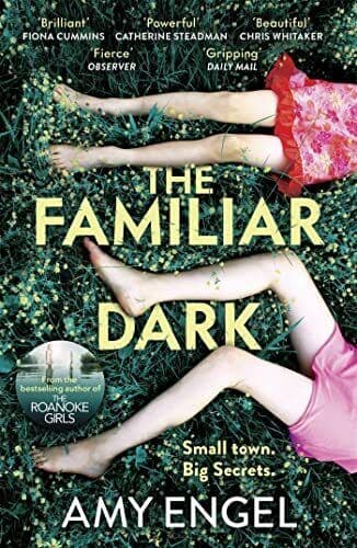 The Familiar Dark: The must-read, utterly gripping thriller you… by Engel, Amy Paperback Book Pre-Owned English