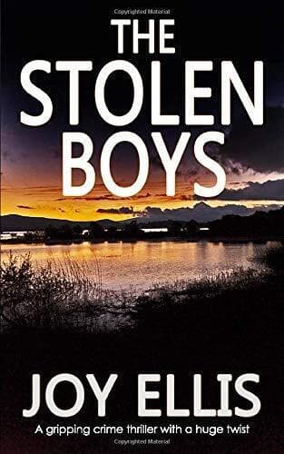 THE STOLEN BOYS a gripping crime thriller with a huge twist (JA… by ELLIS, JOY Paperback Book Pre-Owned English