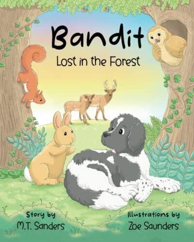 Bandit - Lost in the Forest, Sanders, MT Paperback Book Pre-Owned English