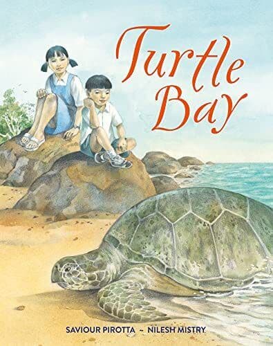 Turtle Bay, Saviour Paperback Book Pre-Owned English