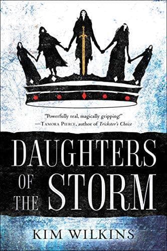 Daughters of the Storm: 1 by Wilkins, Kim Paperback Book Pre-Owned English
