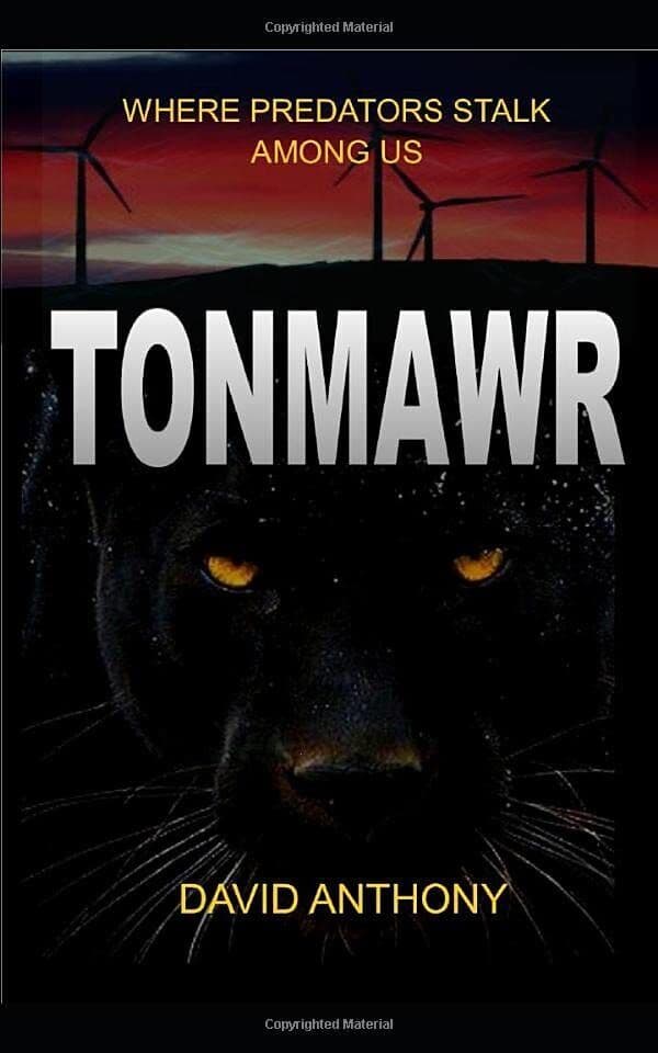 Tonmawr: Where predators stalk among us, Anthony, David Paperback Book Pre-Owned English