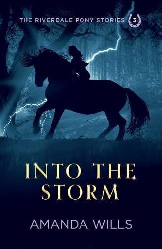 Into the Storm: 3 (The Riverdale Pony…, Wills, Amanda Paperback Book Pre-Owned English
