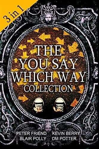 The You Say Which Way Collection: Dungeon of Doom, Secrets of… by Berry, Kevin Paperback Book Pre-Owned English