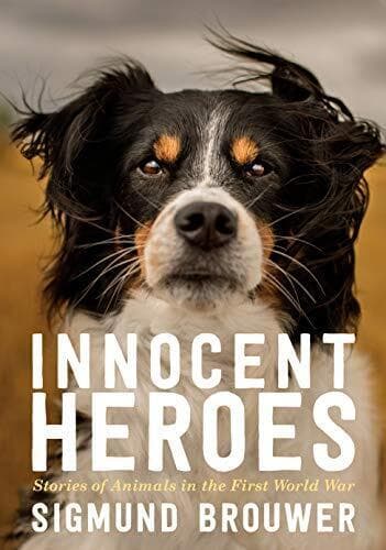Innocent Heroes: Stories of Animals…, Brouwer, Sigmun Paperback Book Pre-Owned English