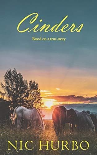 Cinders, Hurbo, Nic Paperback Book Pre-Owned English