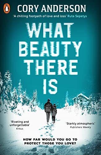 What Beauty There Is, Anderson, Cory Paperback Book Pre-Owned English