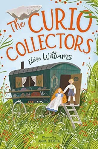 CURIO COLLECTORS, THE Paperback Book Pre-Owned English