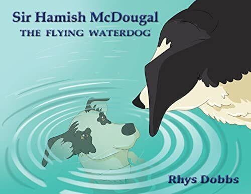 Sir Hamish McDougal, Dobbs, Rhys Paperback Book Pre-Owned English