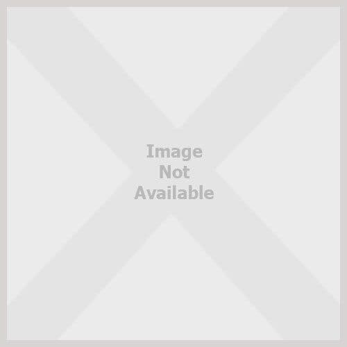 Kung Fu Panda Story, Scout Driggs Paperback Book Pre-Owned English