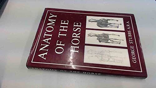 ANATOMY OF HORSE by Stubbs, George A R A