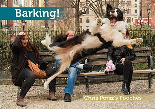 Barking! A dog  with a twist. by Chris Porsz